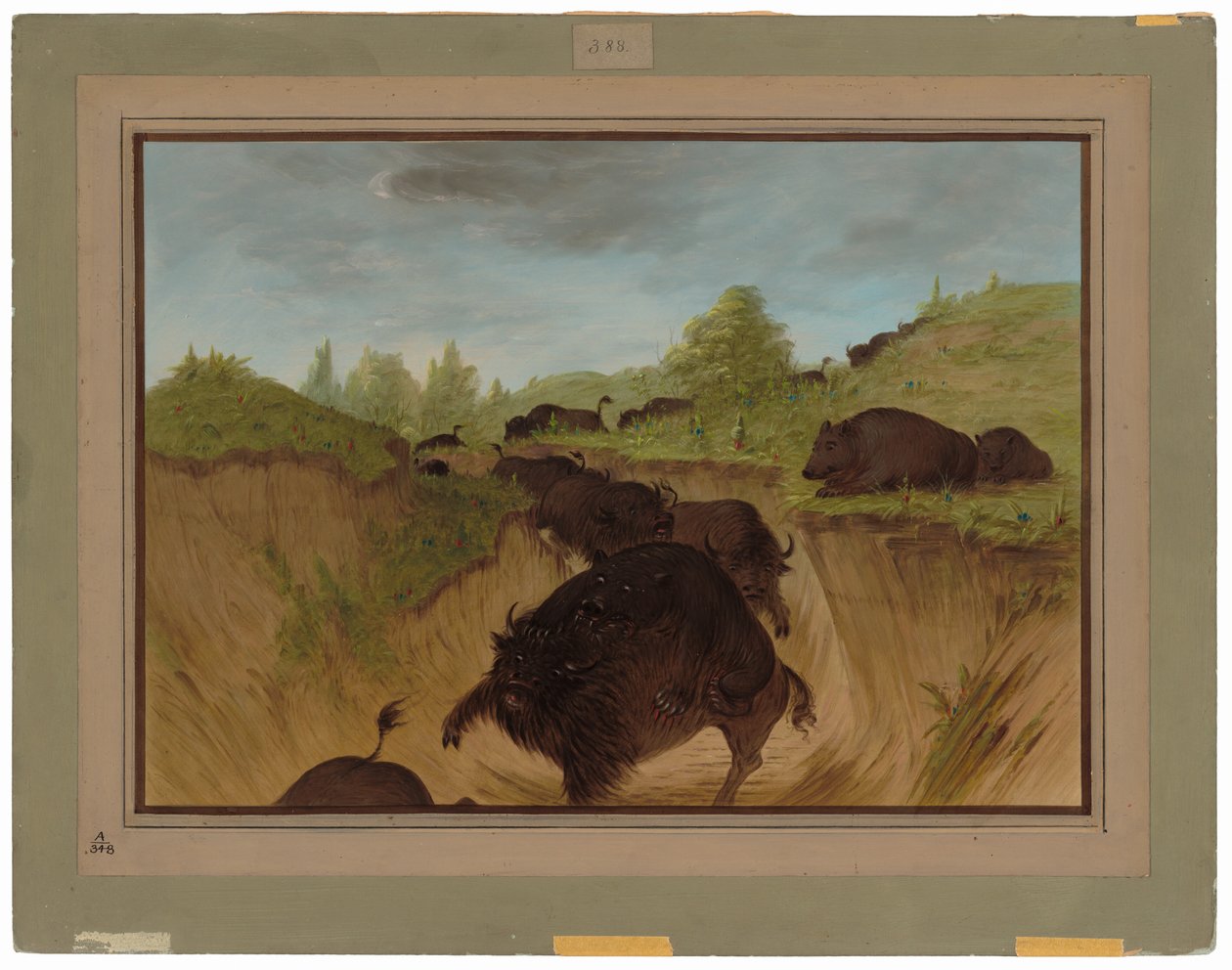 Ursos pardos atacando búfalo de George Catlin