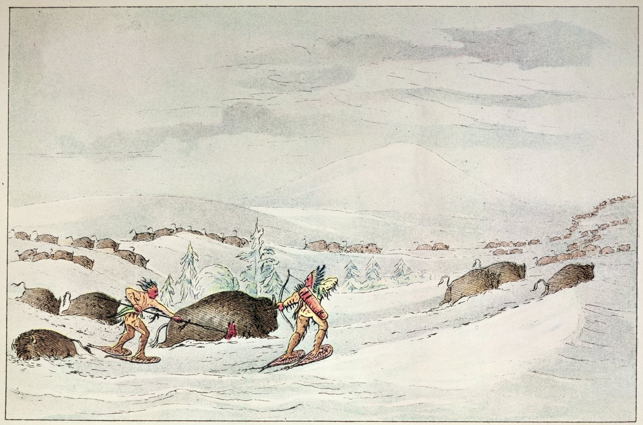 Búfalo de caça em sapatos de neve de George Catlin