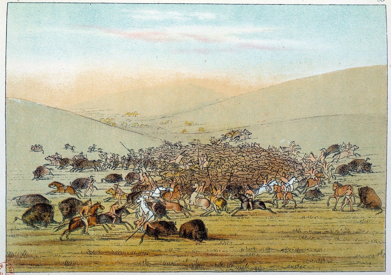 Índios da América: miniatarees indígenas caçando búfalos com lanças. Ilustração de George Catlin (1794-1872) de George Catlin
