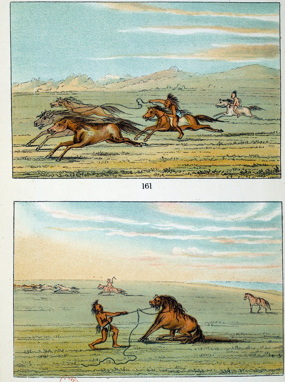 Índios da América: como apanhar cavalos selvagens. Ilustração de George Catlin (1794-1872) de George Catlin