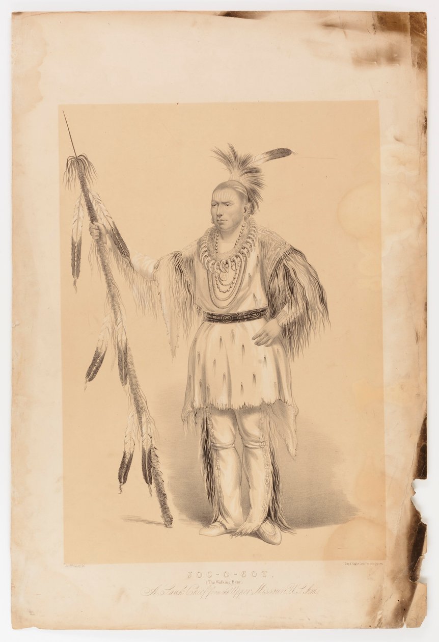Joc-o-set, o Urso Andante de George Catlin