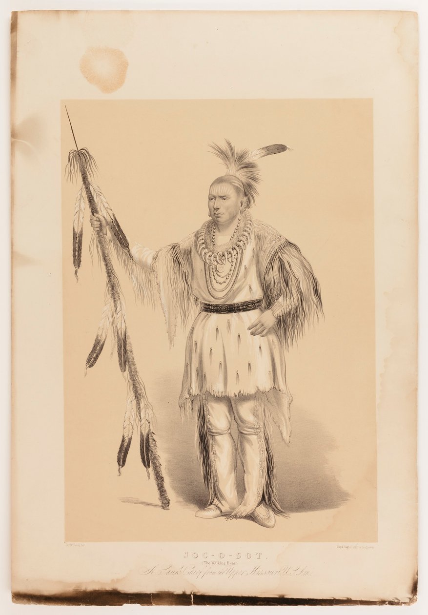 Joc-o-sot, o Urso Andante de George Catlin