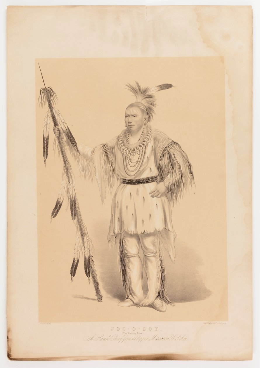 Joc-o-sot, o Urso Andante de George Catlin