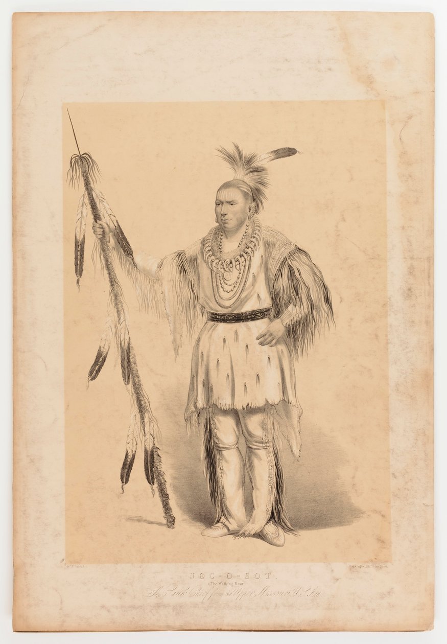 Joc-o-sot, o Urso Andante de George Catlin