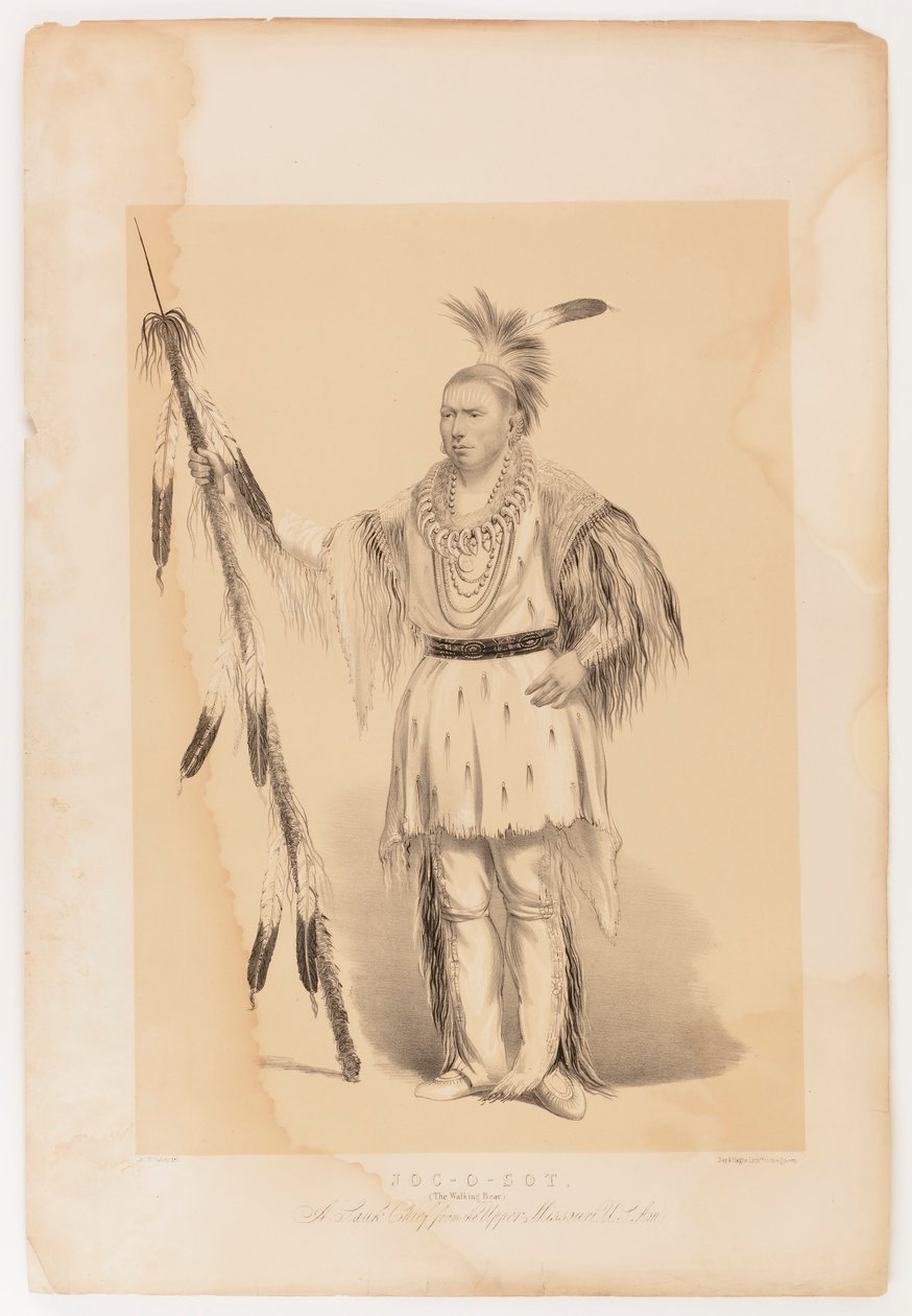 Joc-o-sot, o Urso Andante de George Catlin