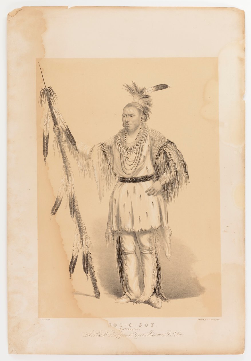 Joc-o-sot, o Urso Andante de George Catlin