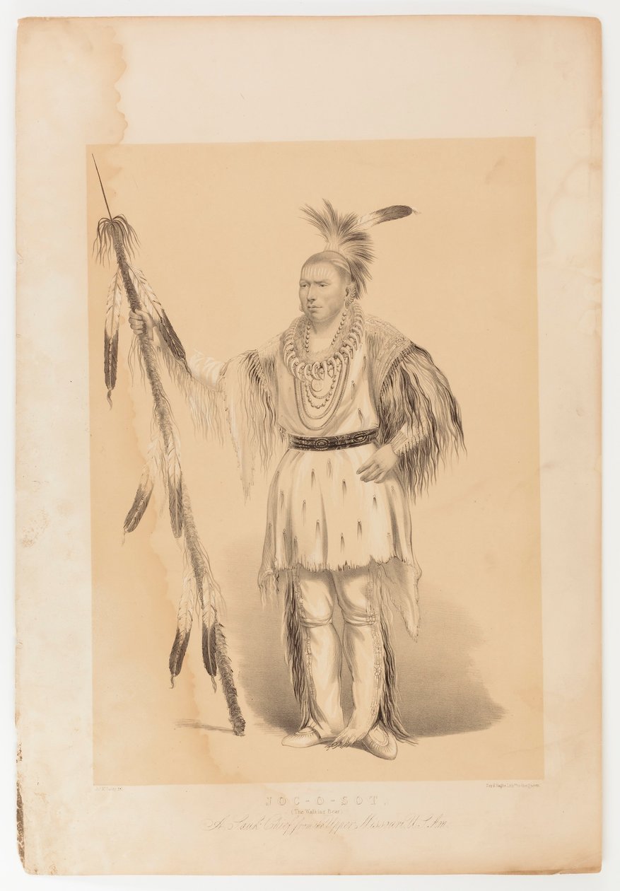 Joc-o-sot, o Urso Andante de George Catlin