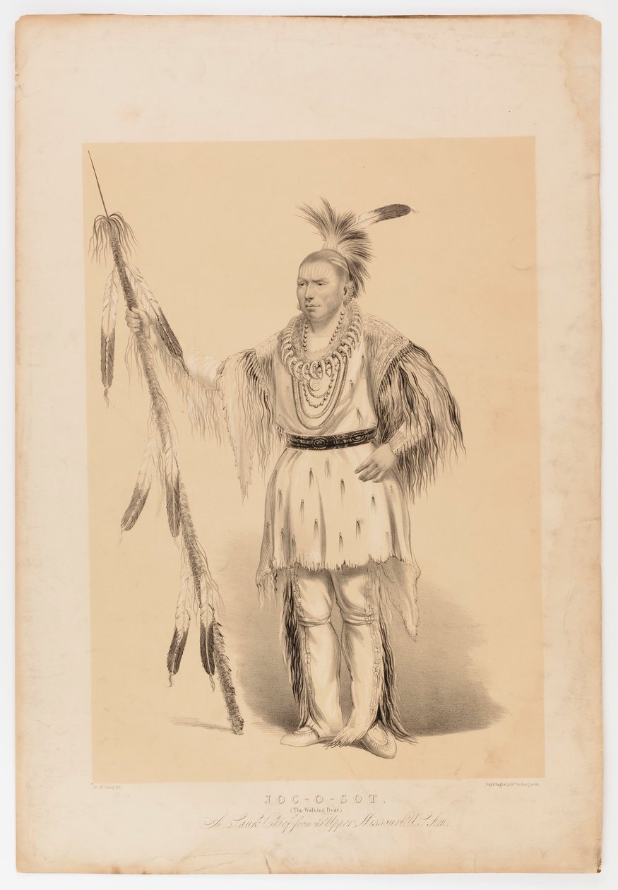 Joc-o-sot, o Urso Andante de George Catlin