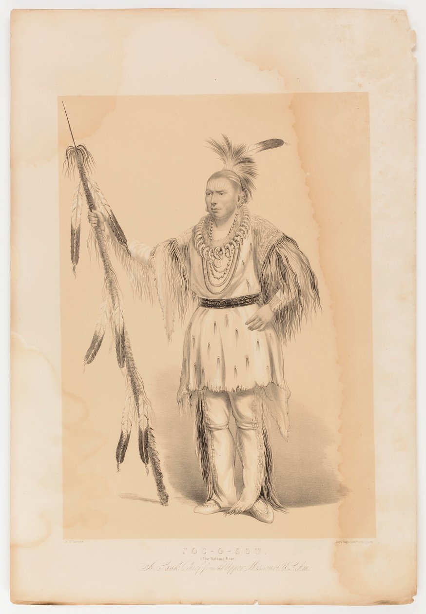 Joc-o-sot, o Urso Andante de George Catlin