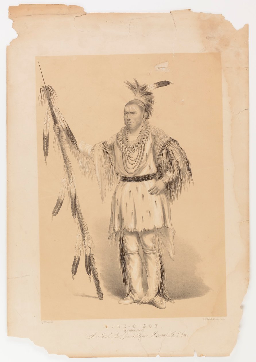 Joc-o-sot, o Urso Andante de George Catlin