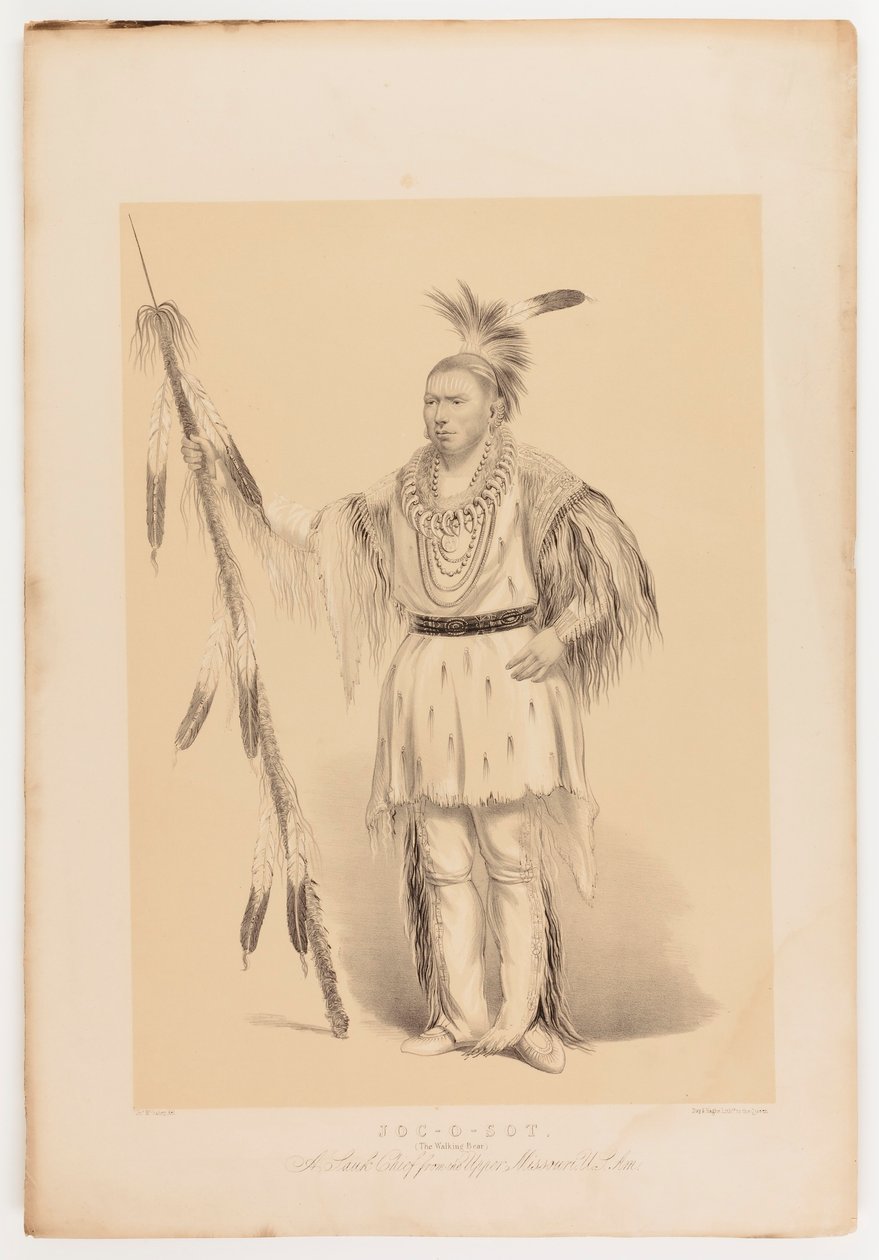 Joc-o-sot, o Urso Andante de George Catlin