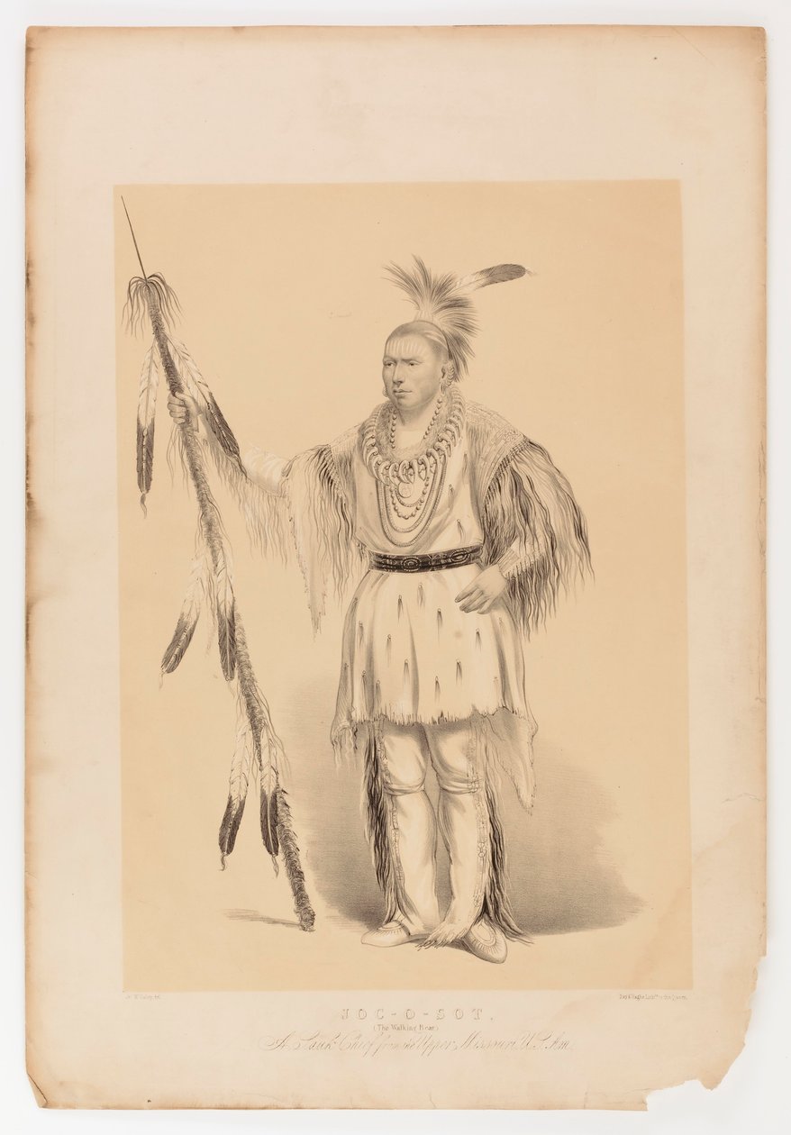 Joc-o-sot, o Urso Andante de George Catlin