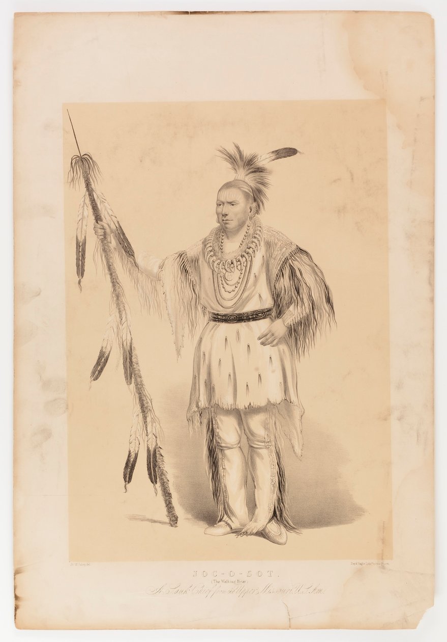 Joc-o-sot, o Urso Andante de George Catlin