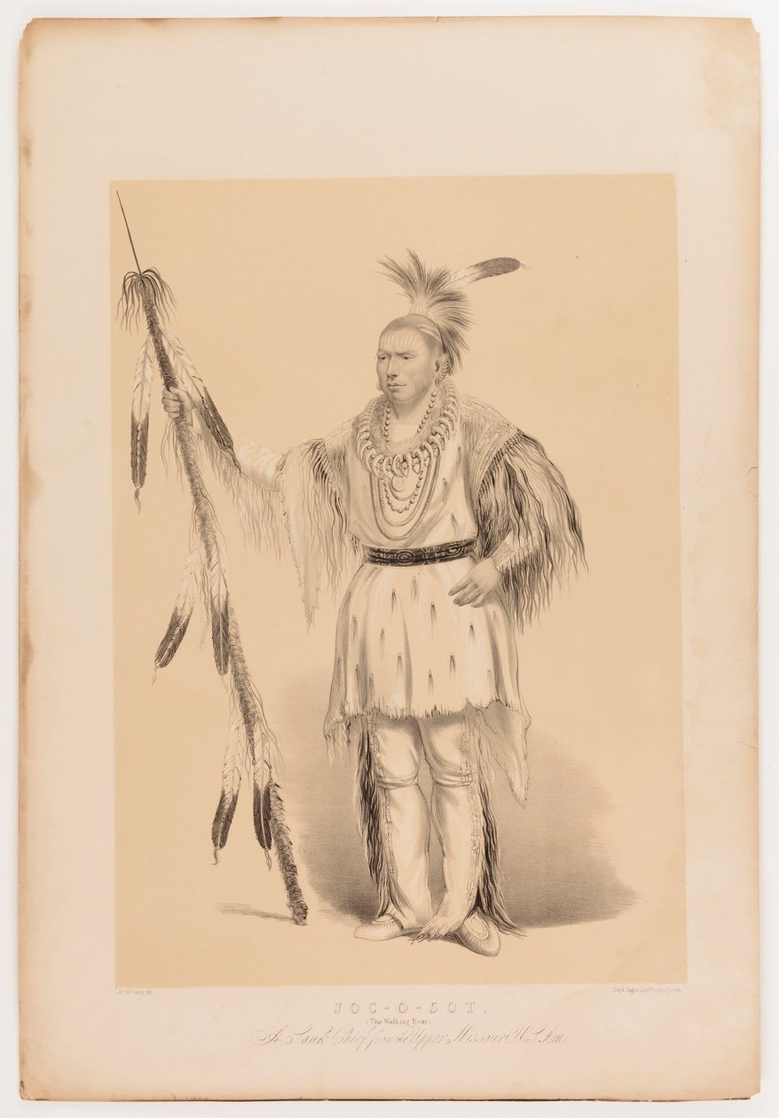Joc-o-sot, o Urso Andante de George Catlin