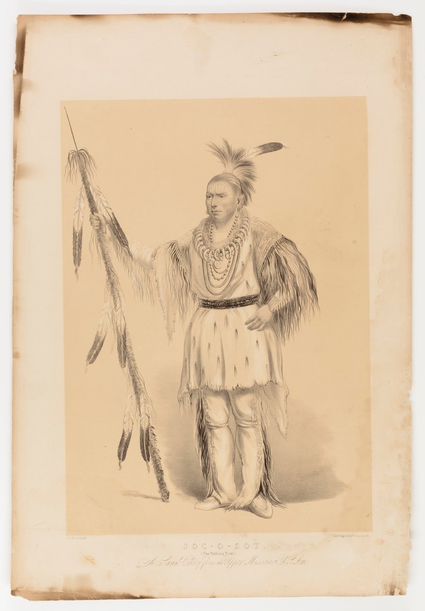 Joc-o-sot, o Urso Andante de George Catlin