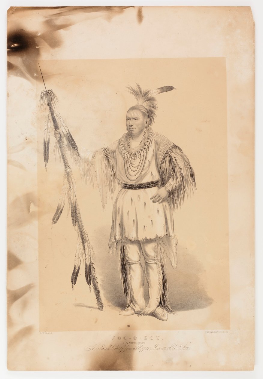 Joc-o-sot, o Urso Andante de George Catlin