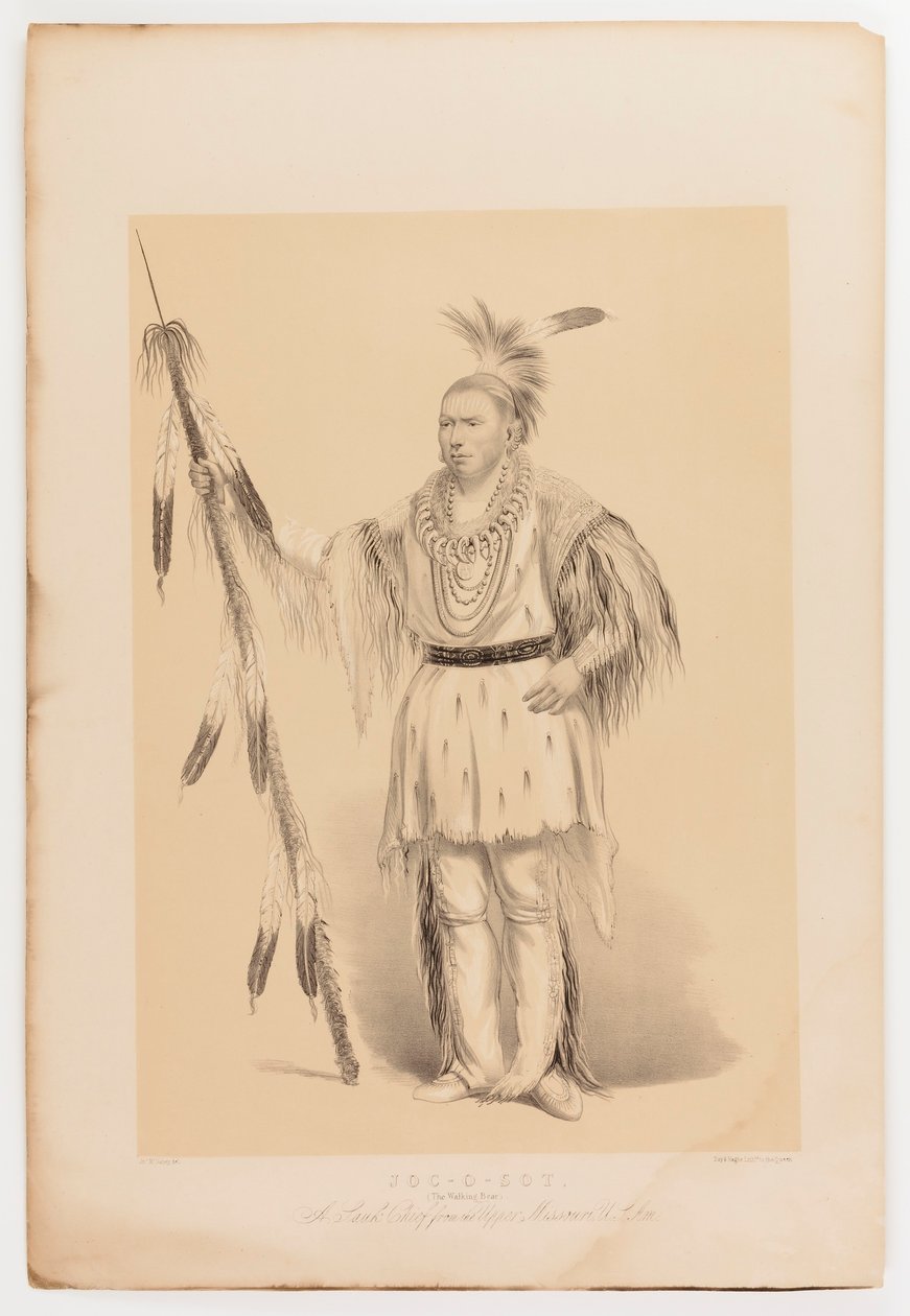 Joc-o-sot, o Urso Andante de George Catlin
