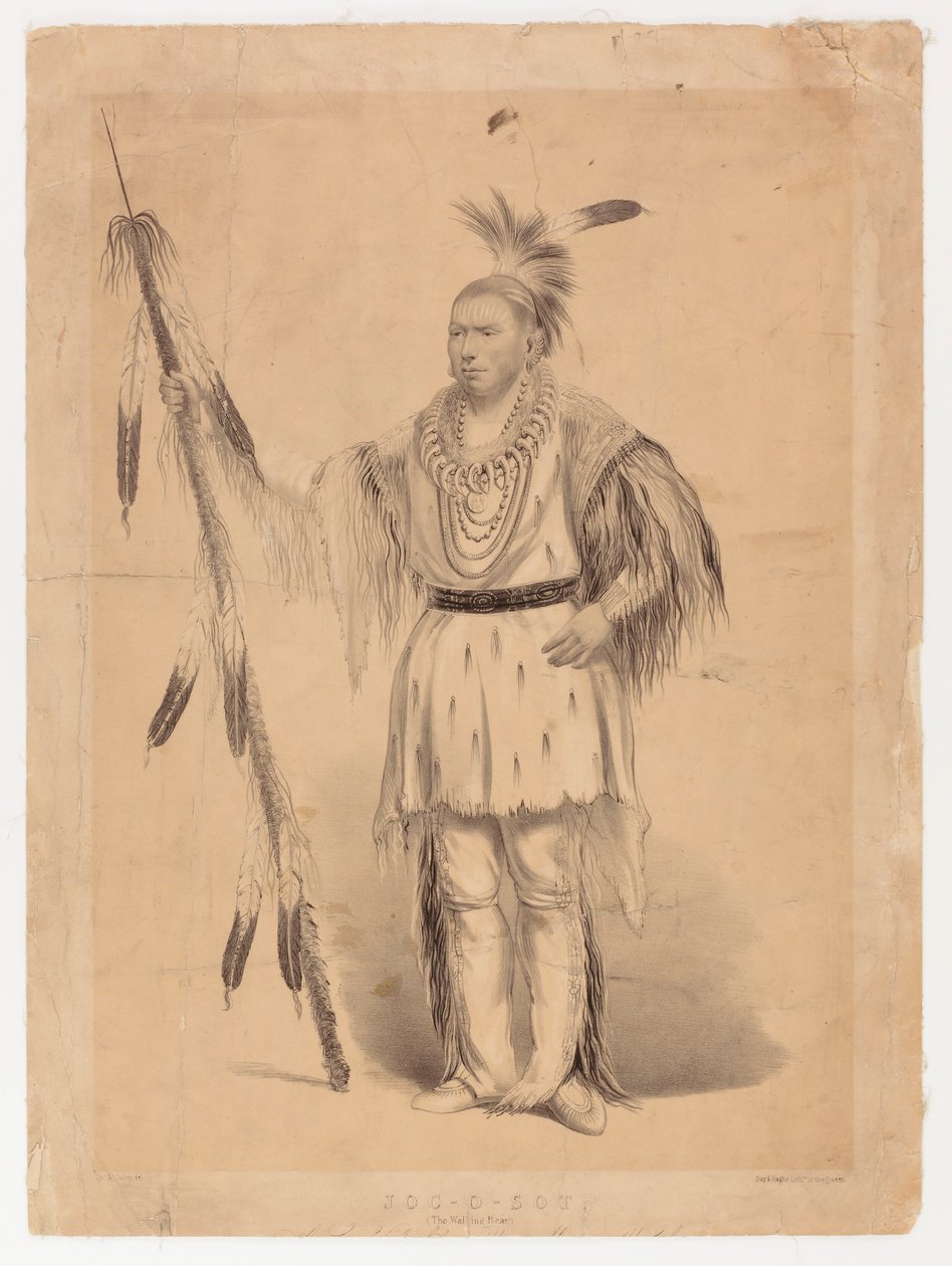 Joc-o-sot, o Urso Andante de George Catlin