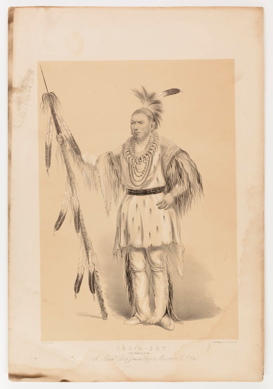 Joc-o-sot, o Urso Andante de George Catlin