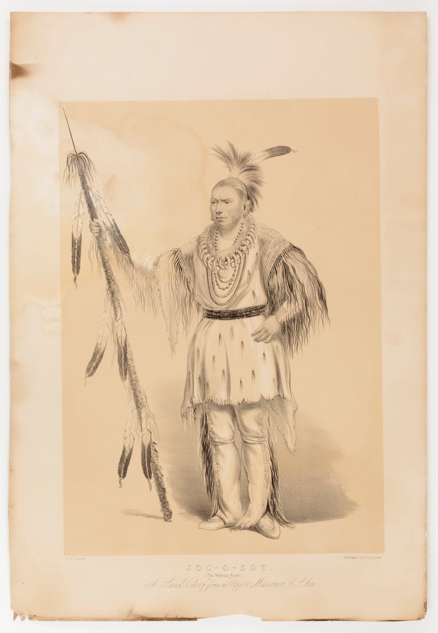 Joc-o-sot, o Urso Andante de George Catlin