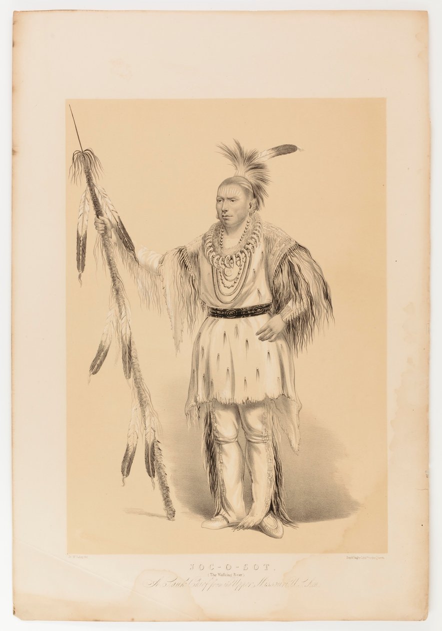 Joc-o-sot, o Urso Andante de George Catlin