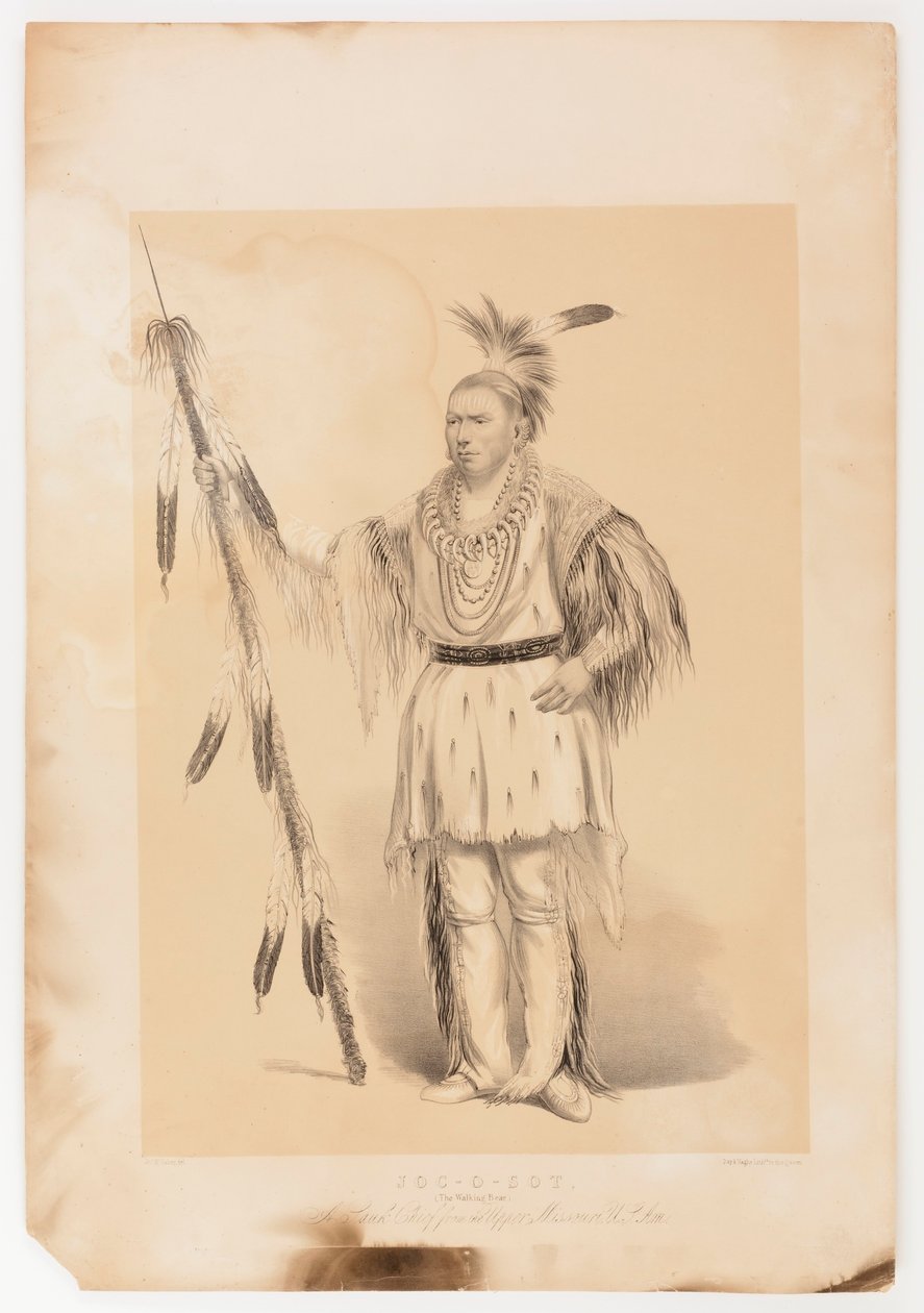 Joc-o-sot, o Urso Andante de George Catlin