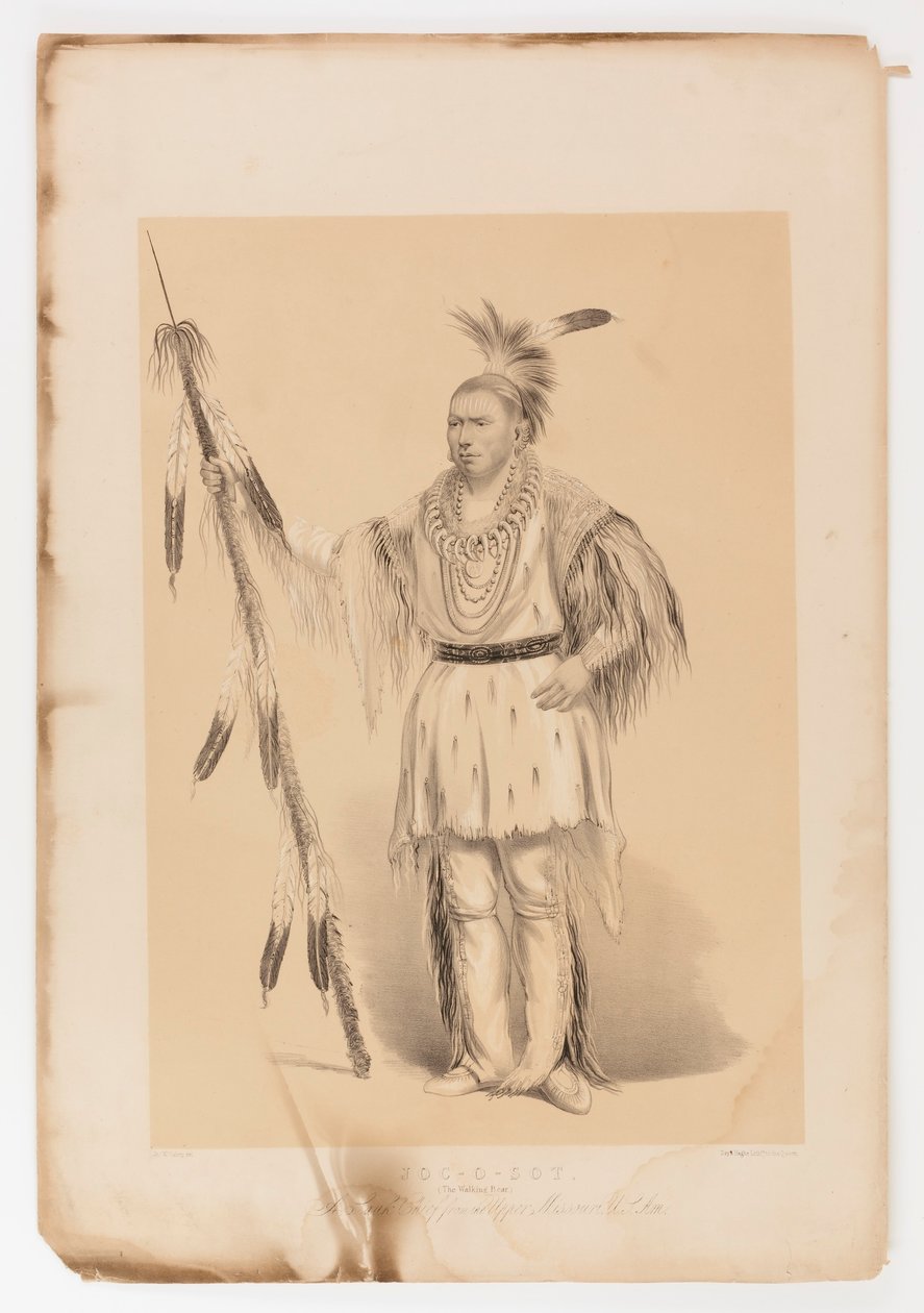 Joc-o-sot, o Urso Andante de George Catlin