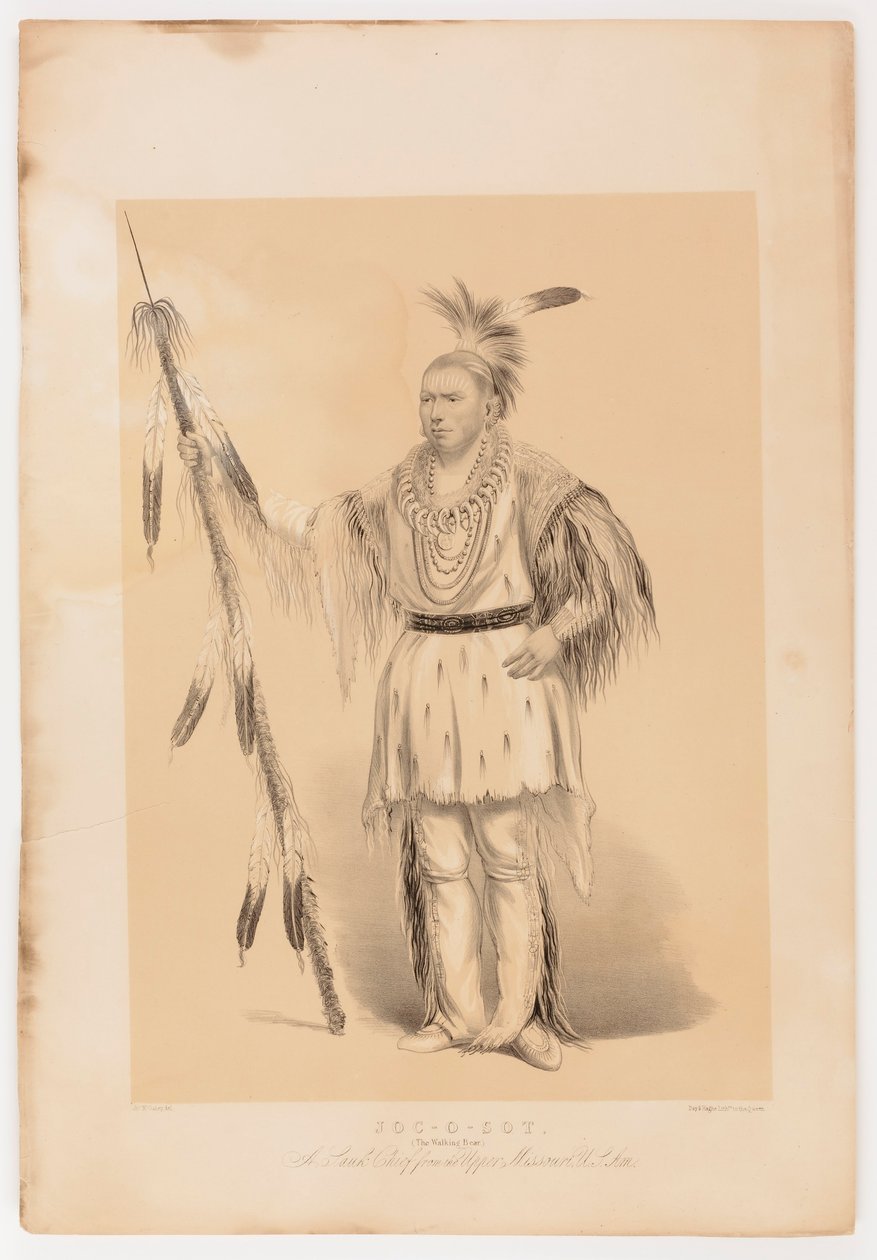 Joc-o-sot, o Urso Andante de George Catlin