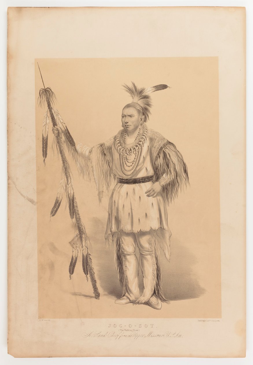 Joc-o-sot, o Urso Andante de George Catlin