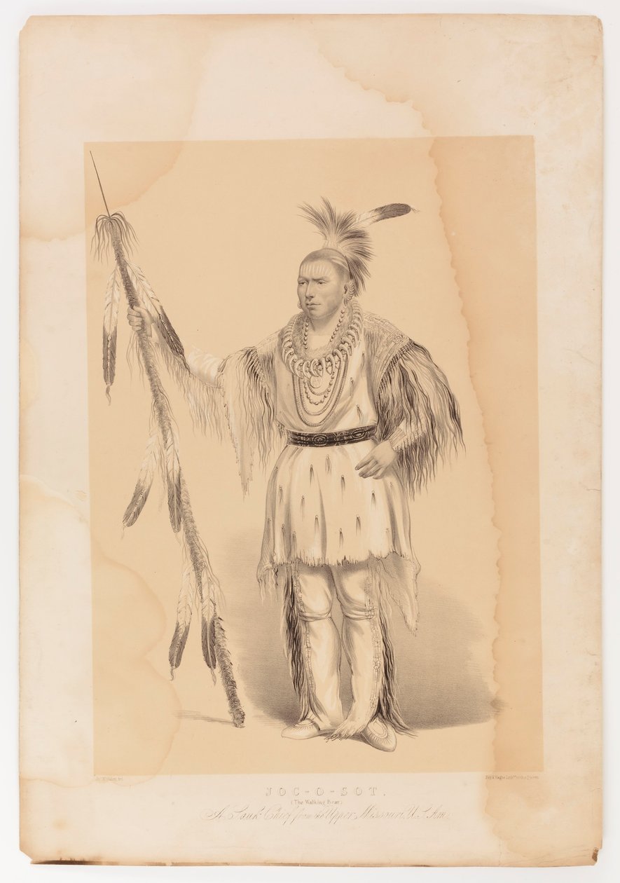 Joc-o-sot, o Urso Andante de George Catlin