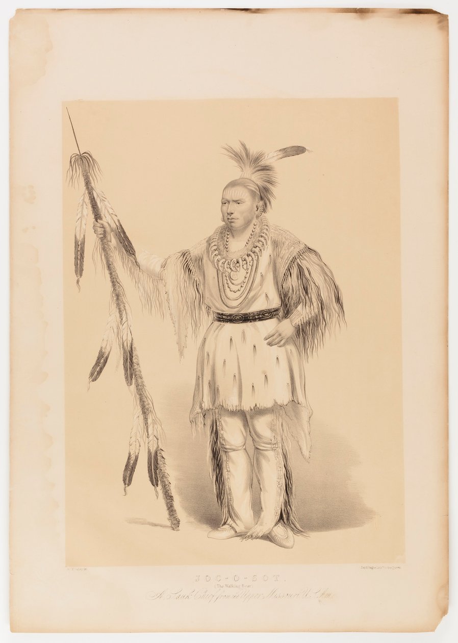 Joc-o-sot, o Urso Andante de George Catlin