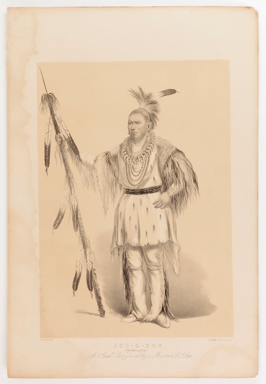 Joc-o-sot, o Urso Andante de George Catlin