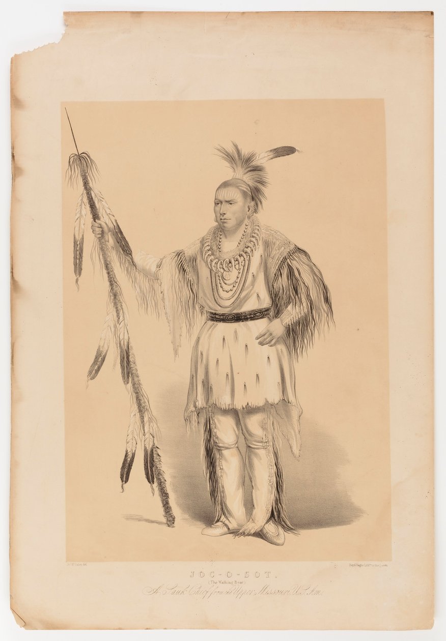Joc-o-sot, o Urso Andante de George Catlin