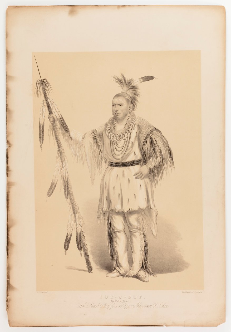 Joc-o-sot, o Urso Andante de George Catlin