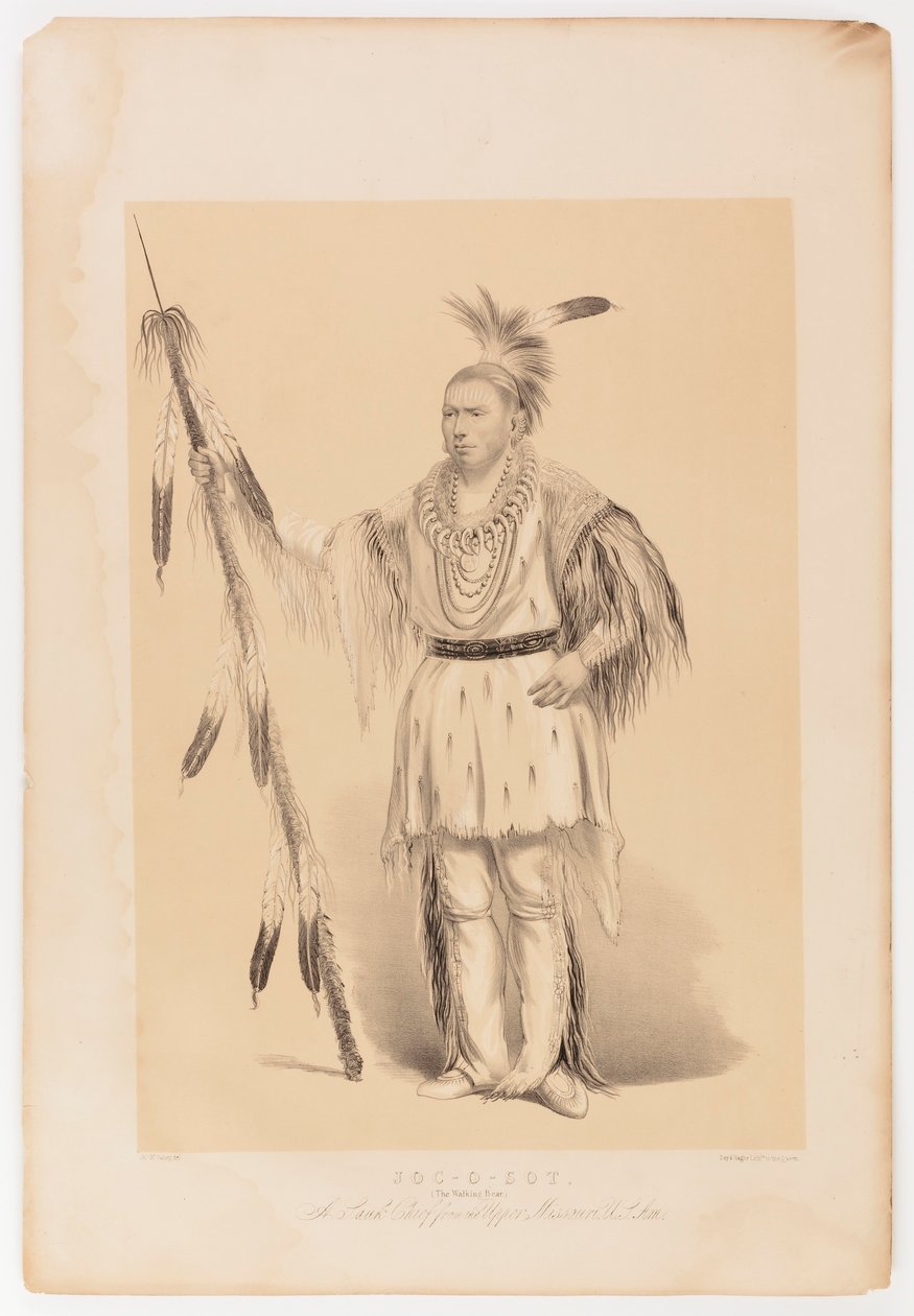 Joc-o-sot, o Urso Andante de George Catlin