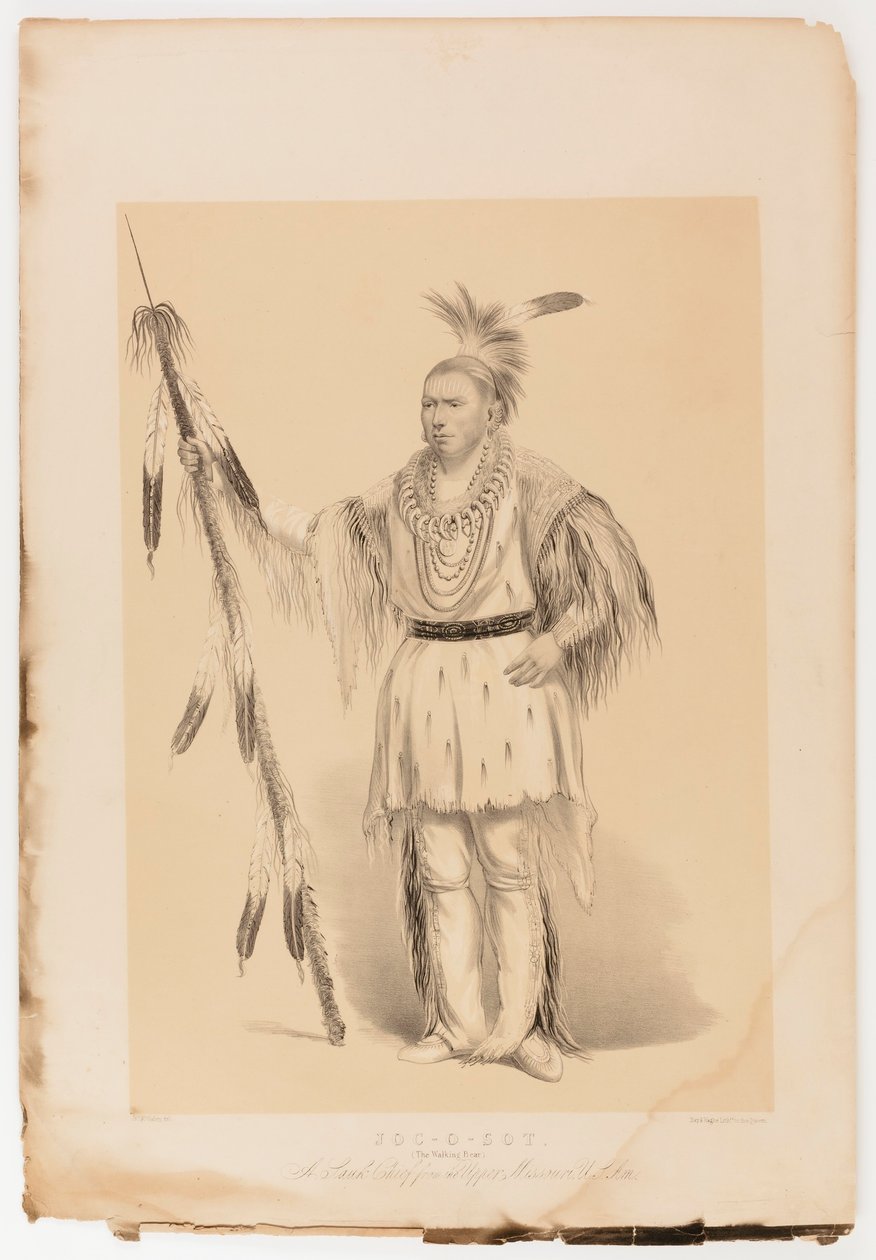 Joc-o-sot, o Urso Andante de George Catlin