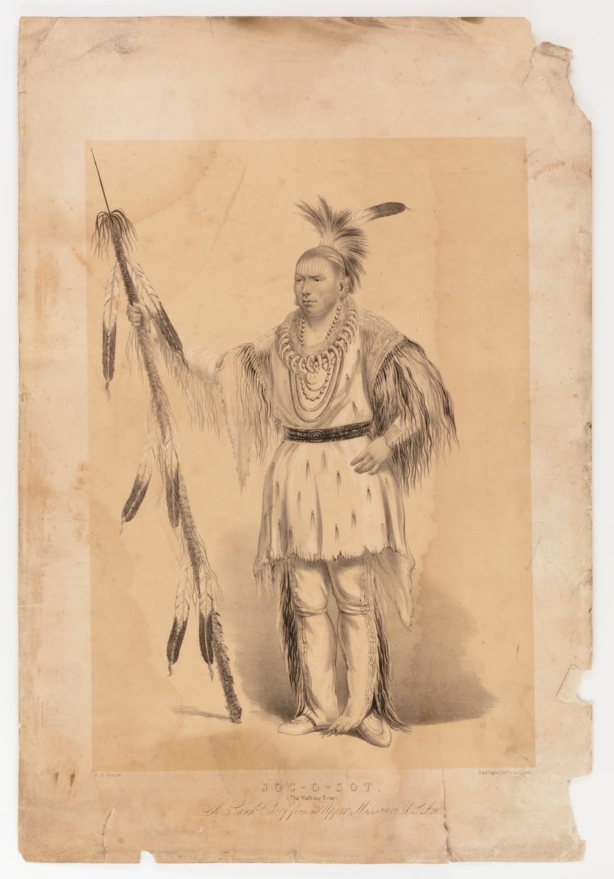 Joc-o-sot, o Urso Andante de George Catlin