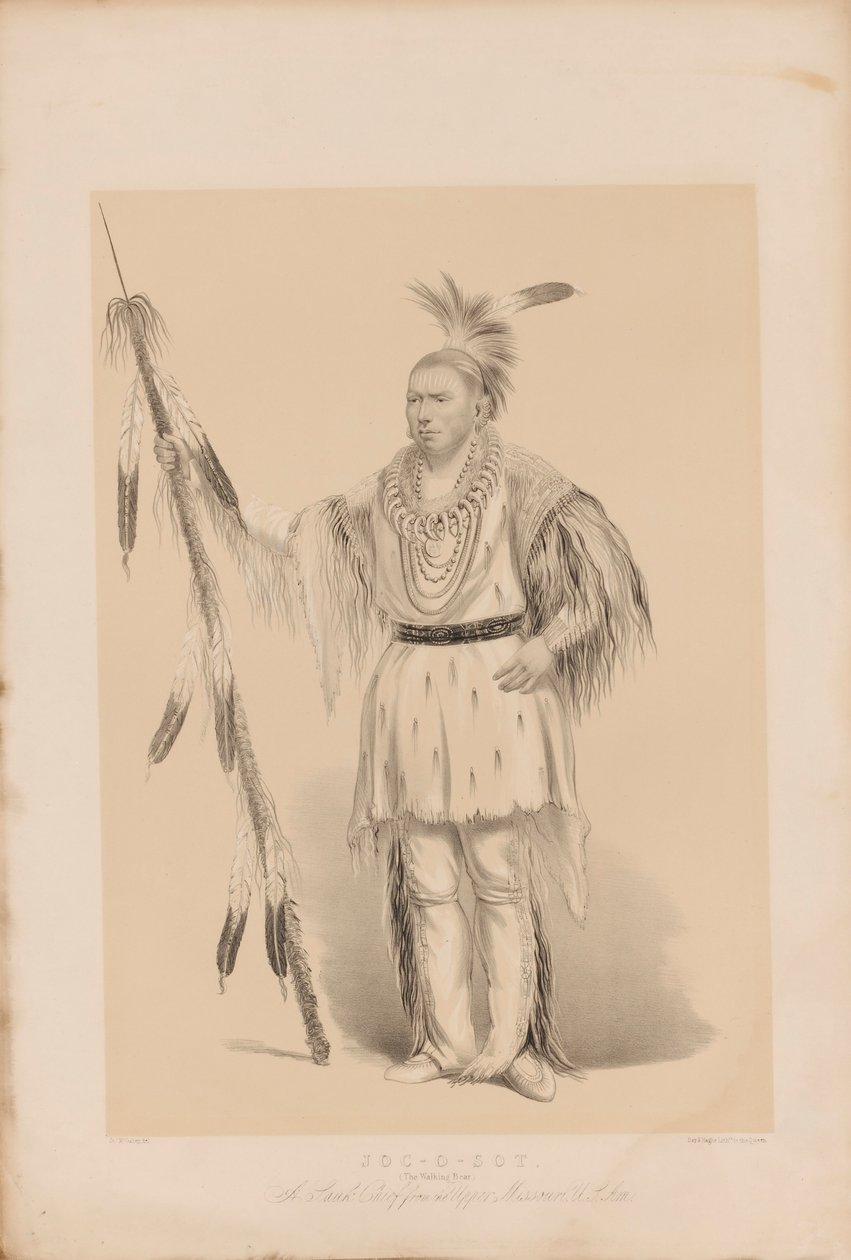 Joc-o-sot, o urso caminhante de George Catlin