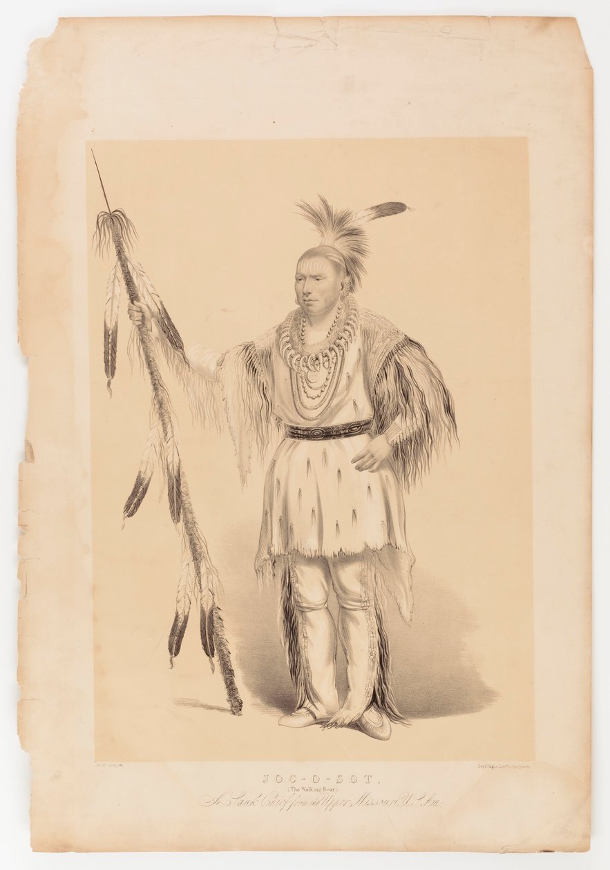 Joc-o-sot, o urso caminhante de George Catlin