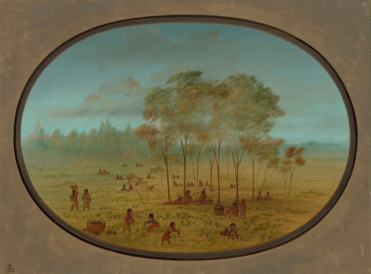 Índios Kiowa Colhendo Uvas Silvestres, 18611869. de George Catlin