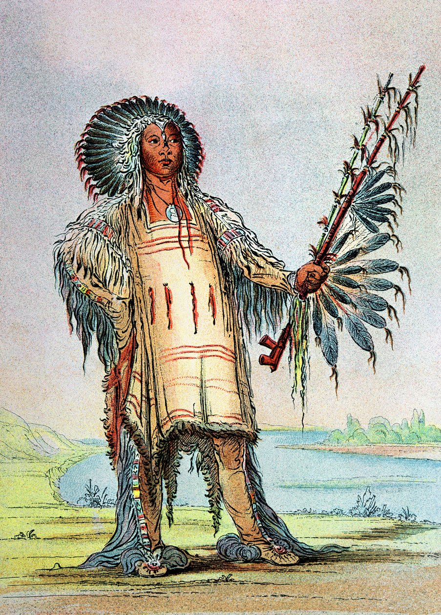 Mandan indiano Ha-Na-Tah-Muah, chefe do lobo de George Catlin