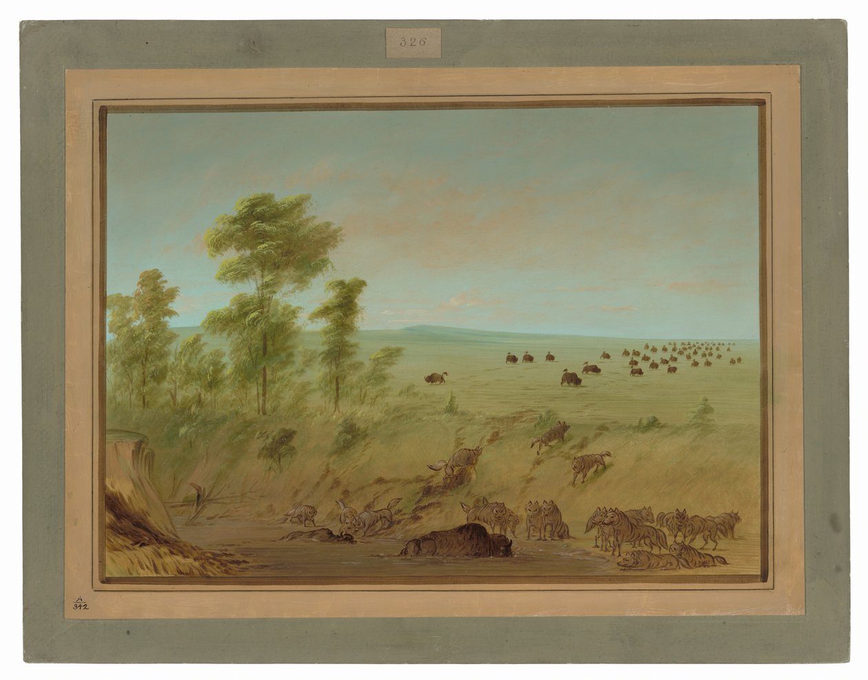 Búfalo atolado e lobos de George Catlin