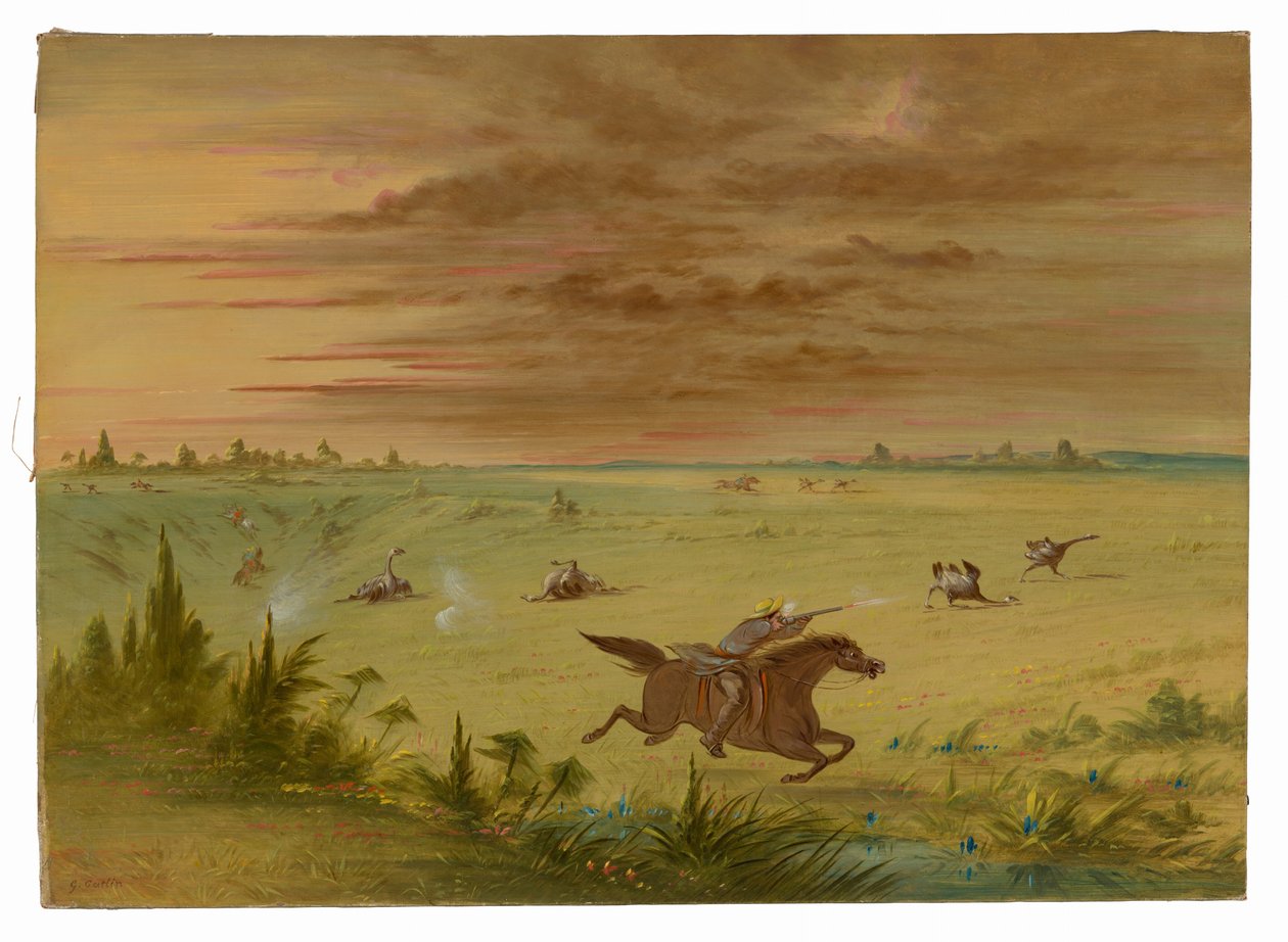 Avestruz Chase, Buenos Aires - Auca de George Catlin