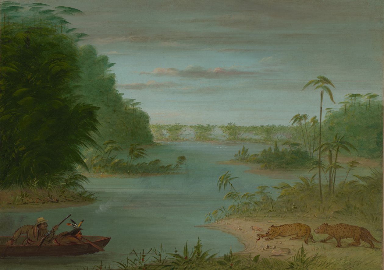 Ponte das Palmeiras e Tiro ao Tigre, 18541869. de George Catlin