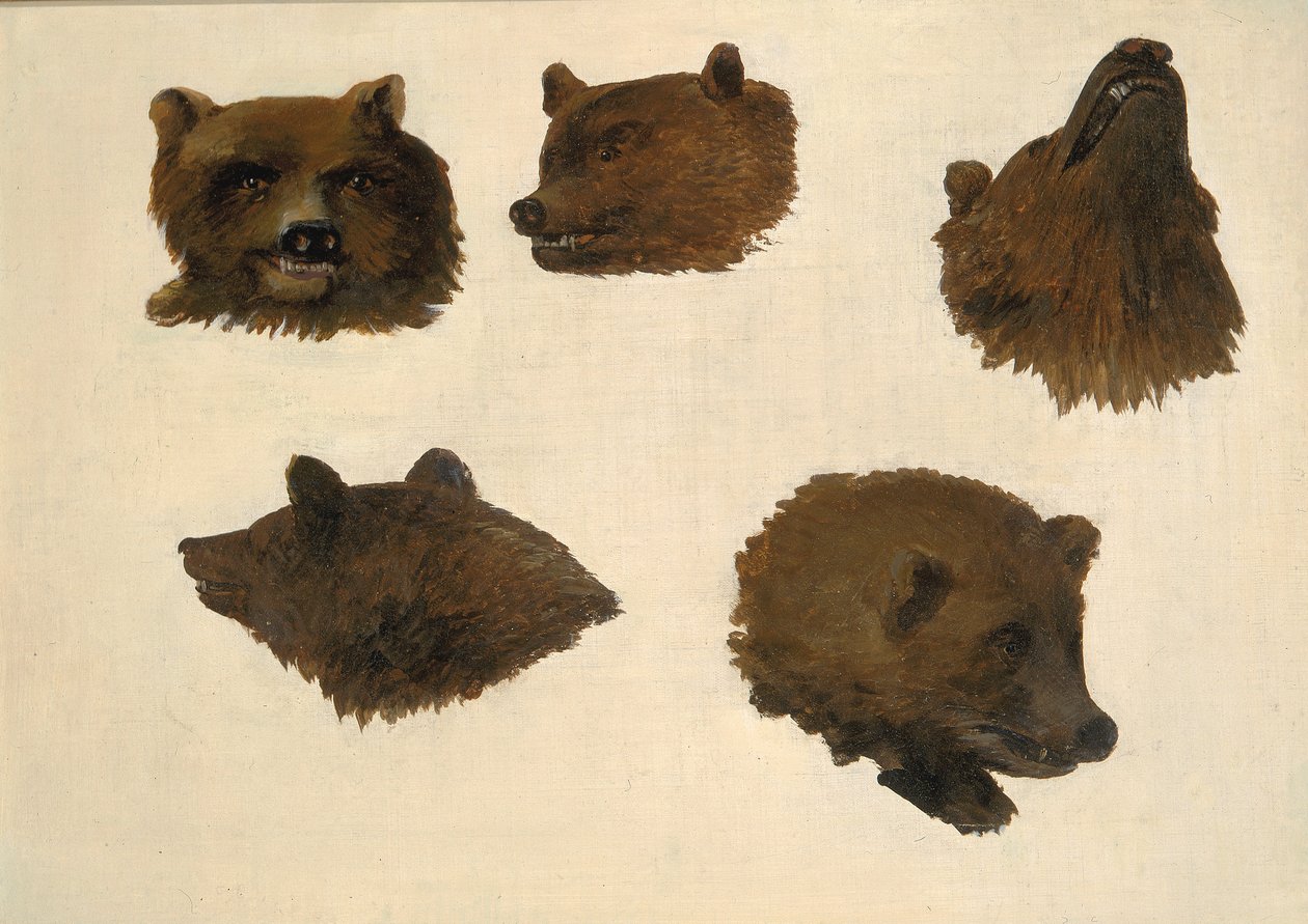 Retratos de dois ursos pardos, da vida, 1839-1840. de George Catlin