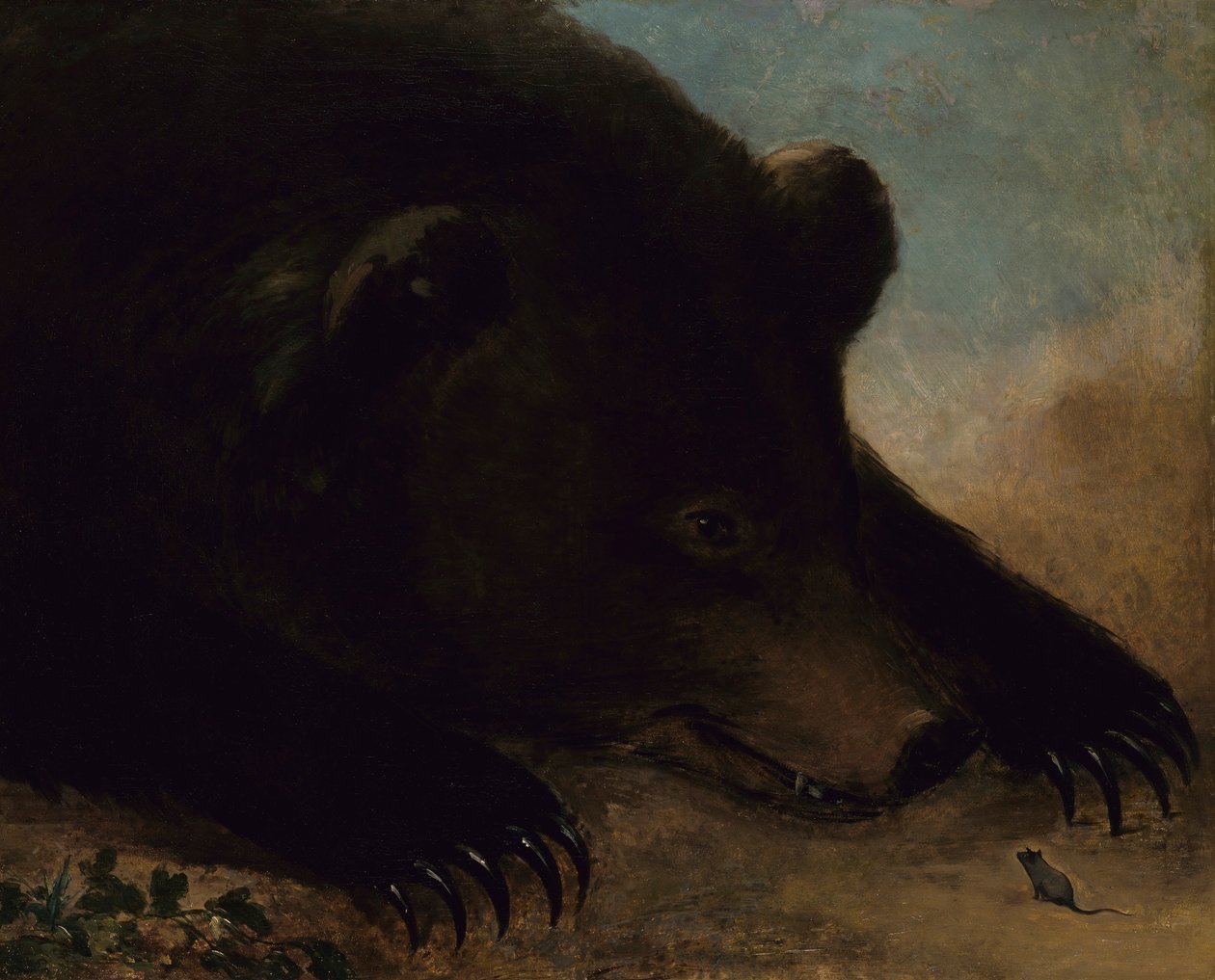 Retratos de um urso-pardo e de um rato, tamanho natural de George Catlin