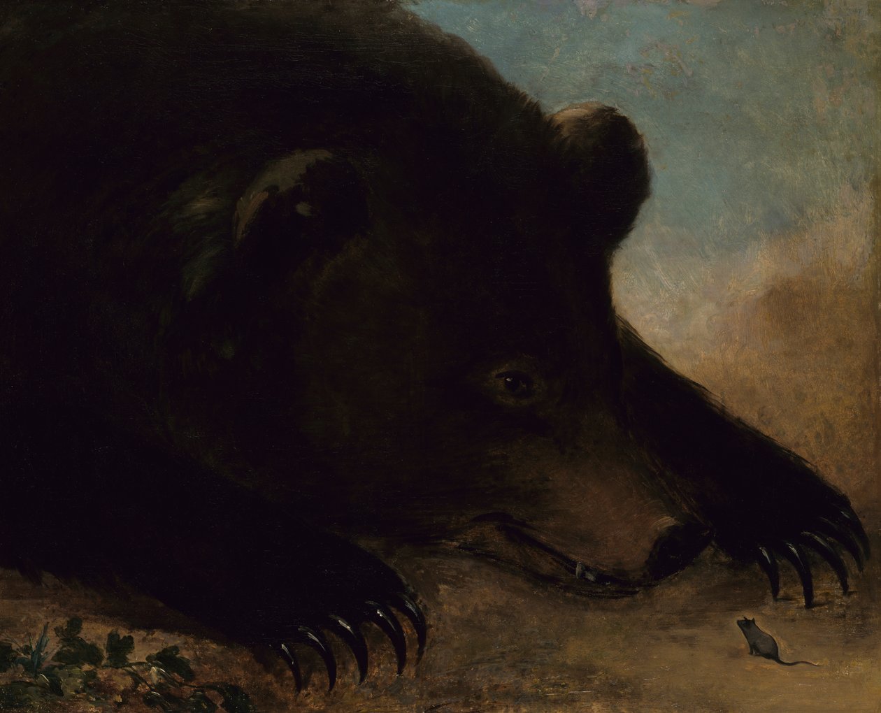 Retratos de um urso pardo e rato, tamanho natural, 1846-1848. de George Catlin