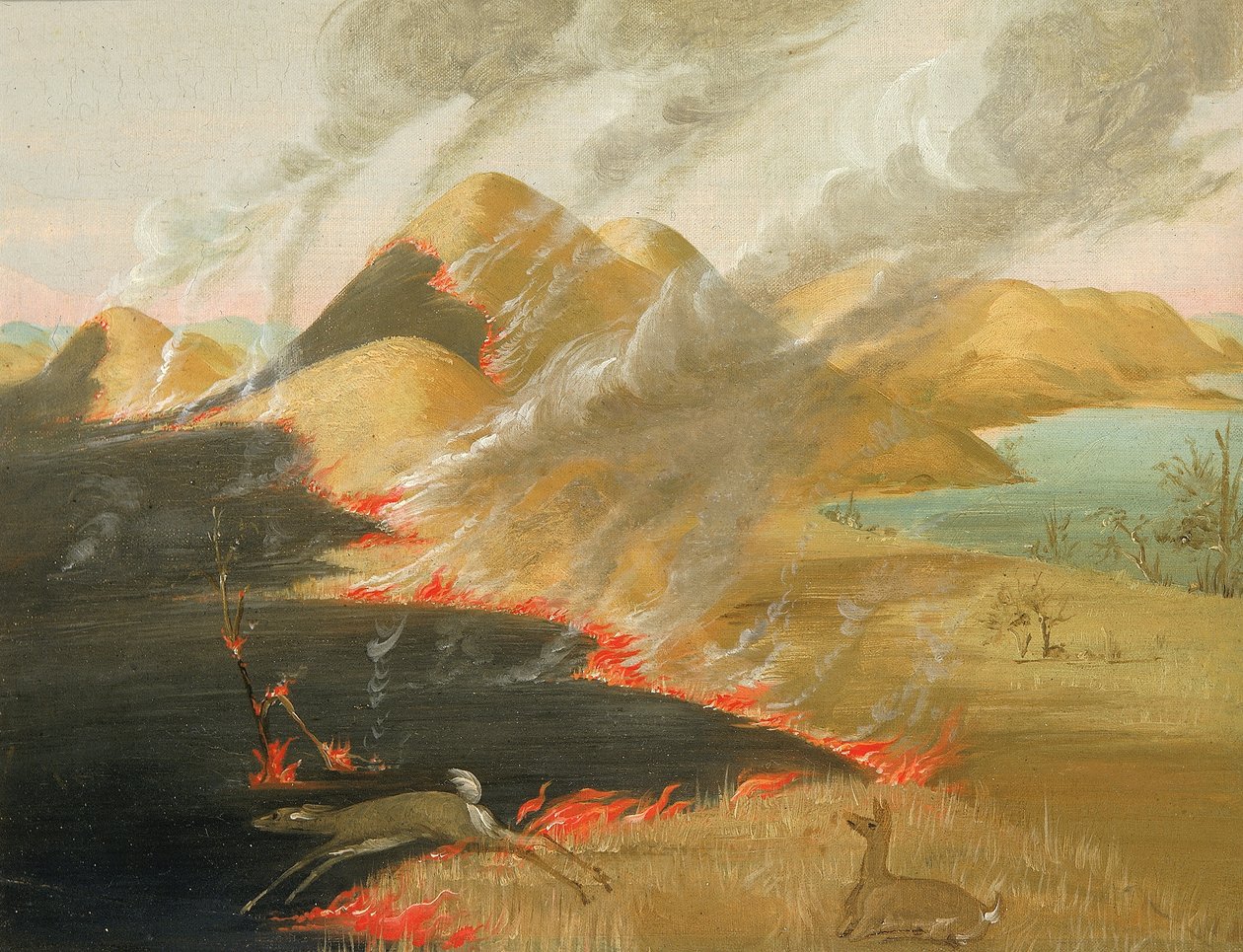 Queimada de Prairie Bluffs de George Catlin