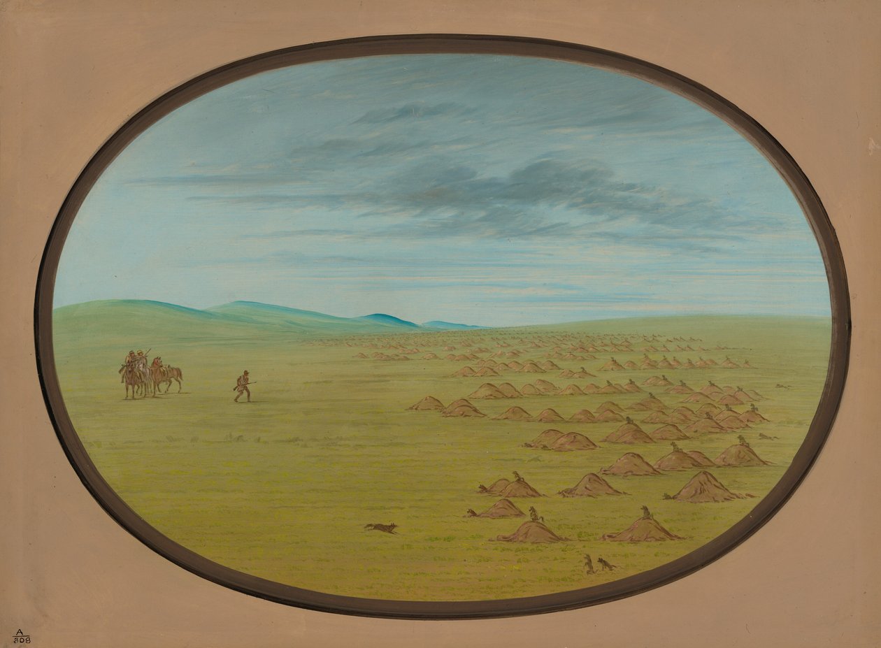 Vila do Cão da Pradaria, 18611869. de George Catlin