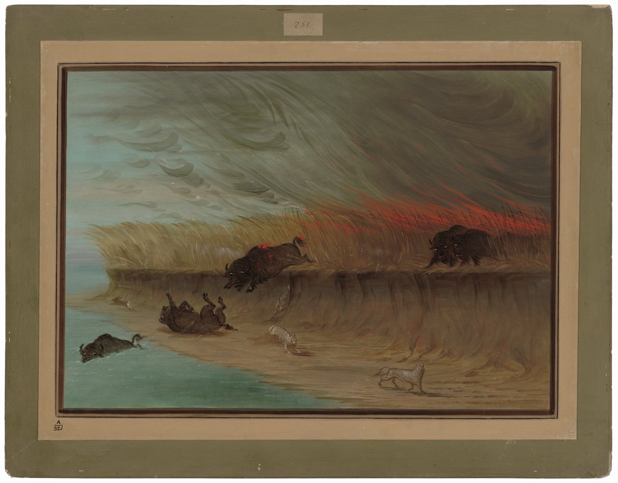 Prairie Meadows queimando de George Catlin